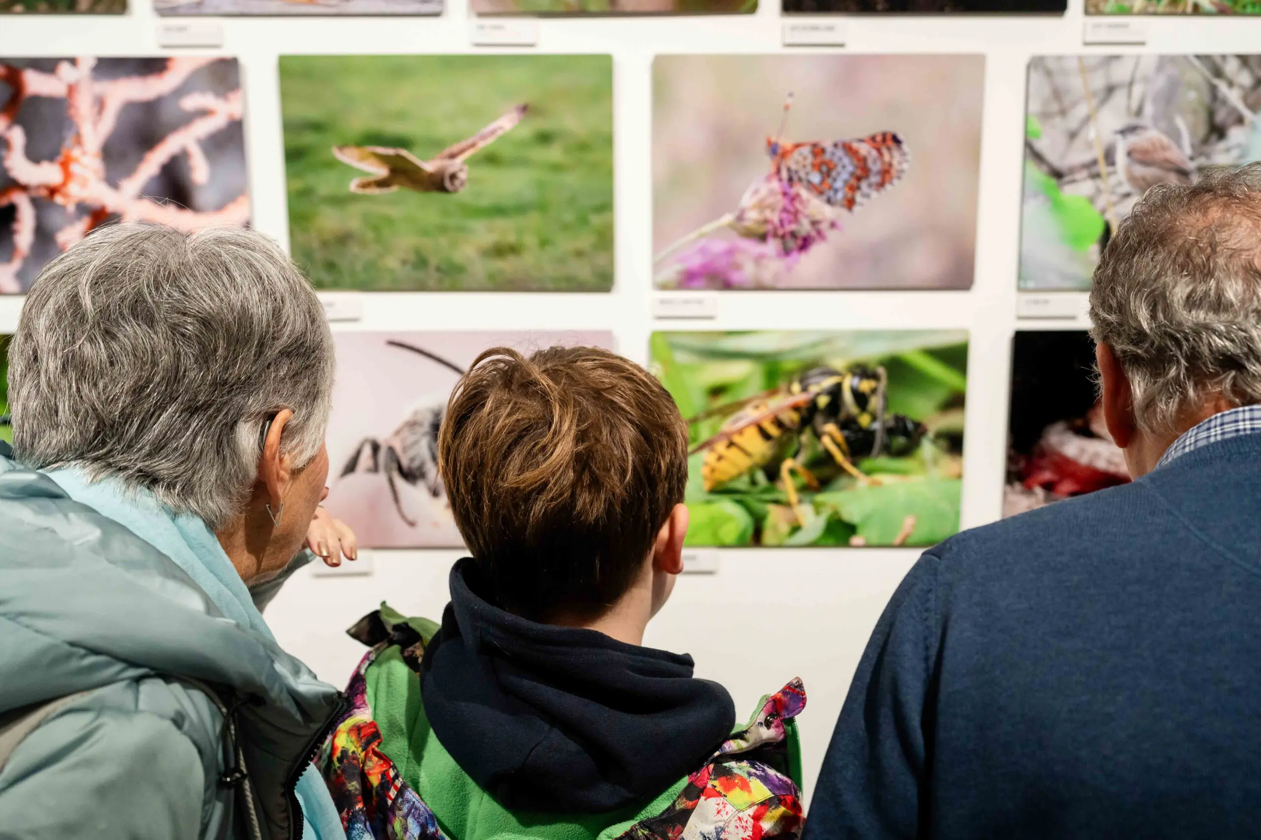 Bailiwick Photography Exhibition