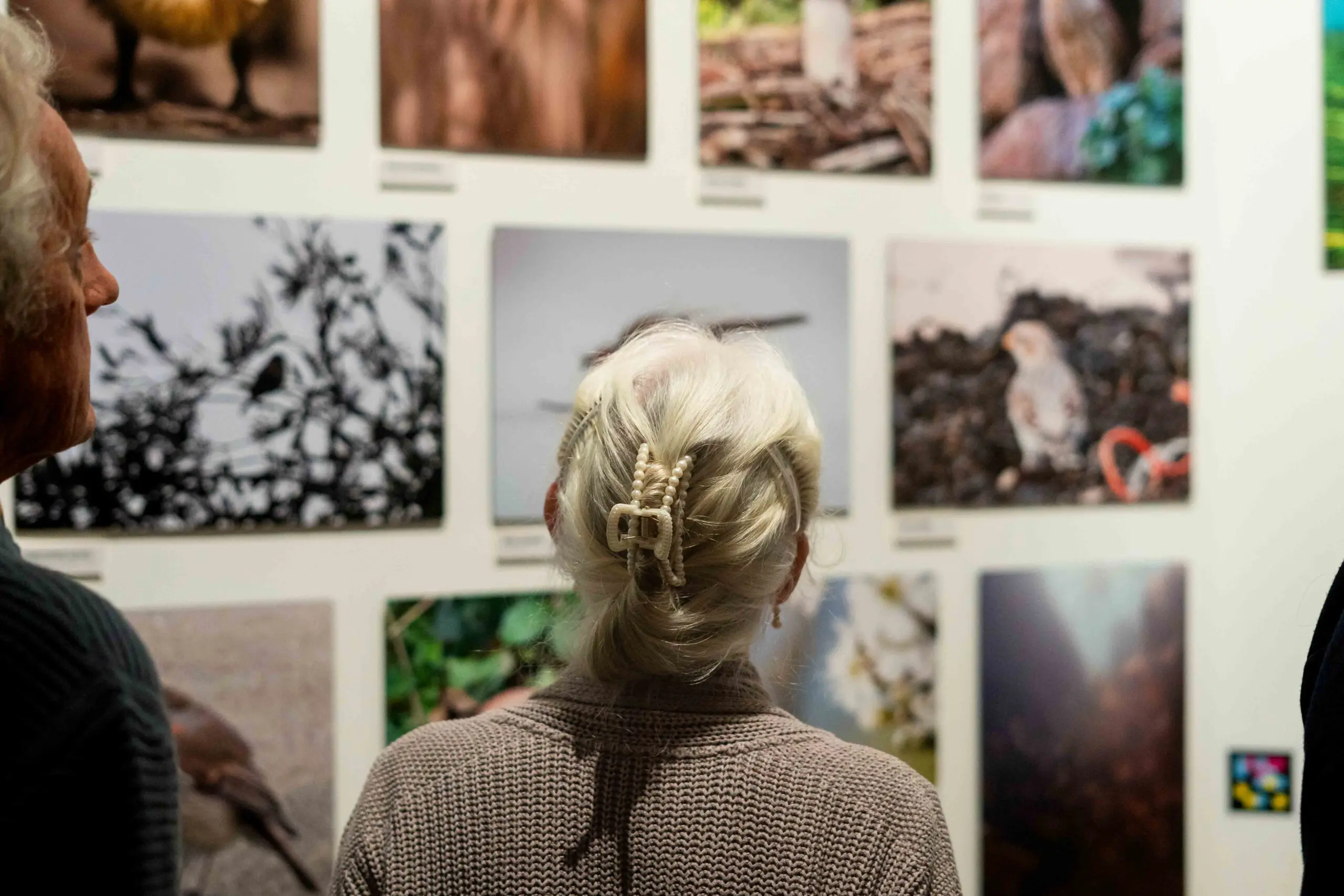 Bailiwick Photography Exhibition