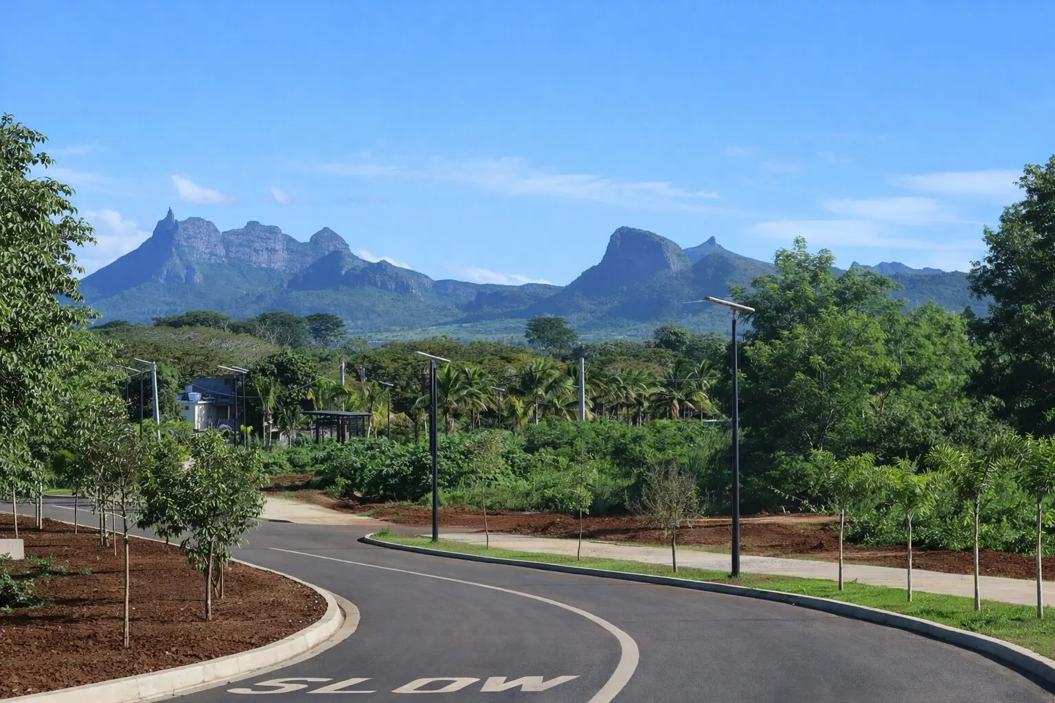 Mauritius - Tiny Forest plantings at Beau Plan