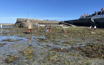 Guernsey beach clean - World Ocean Day 2026
