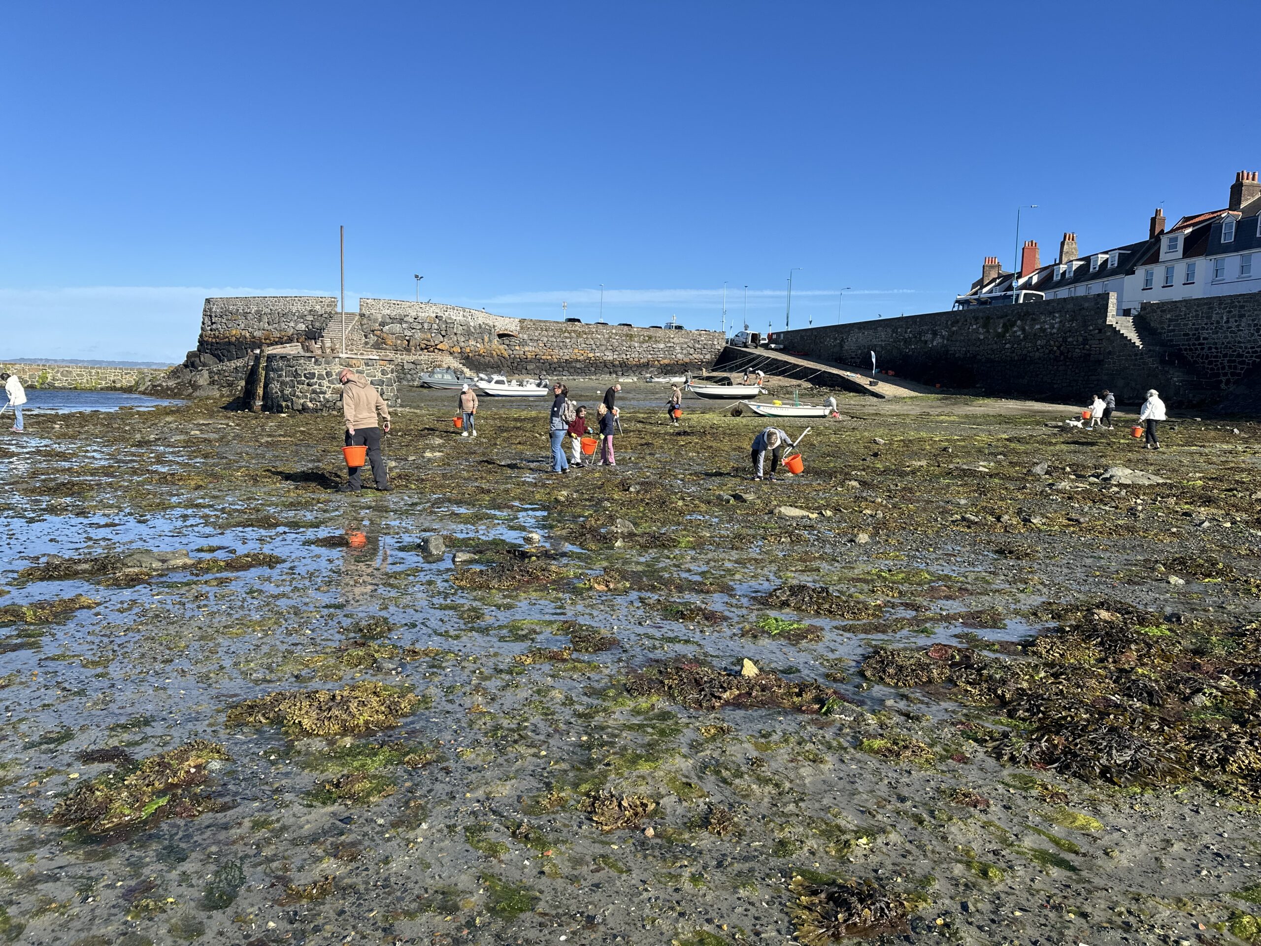 Guernsey beach clean - World Ocean Day 2026